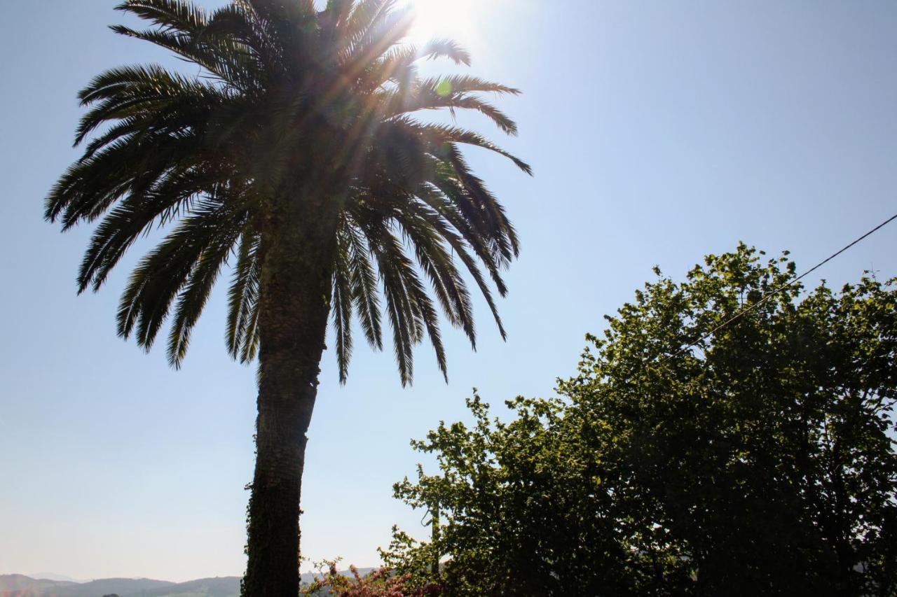 Casa La Palmera Gormazo エクステリア 写真